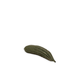 Gurka skörd grön porslin